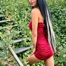 Stella 19